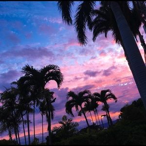 Meet your Posher, Cassidy